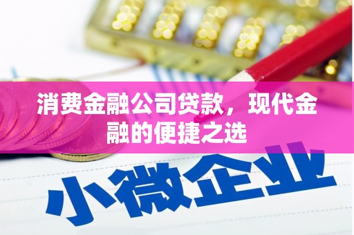 麦寮消费金融公司贷款，现代金融的便捷之选