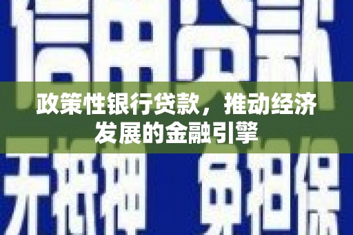 麦寮政策性银行贷款，推动经济发展的金融引擎