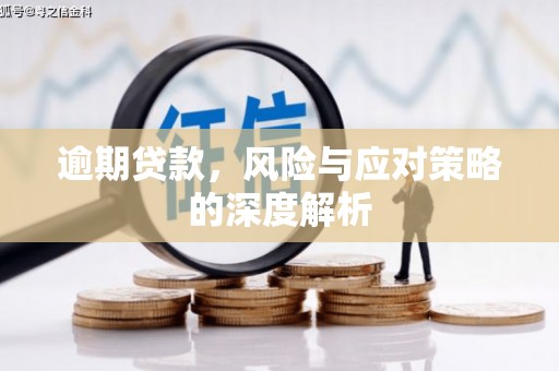 麦寮逾期贷款，风险与应对策略的深度解析