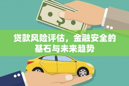 麦寮贷款风险评估，金融安全的基石与未来趋势