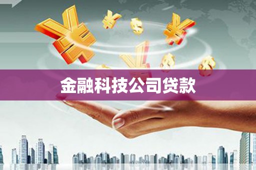 麦寮金融科技公司贷款