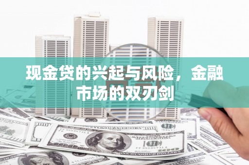麦寮现金贷的兴起与风险，金融市场的双刃剑