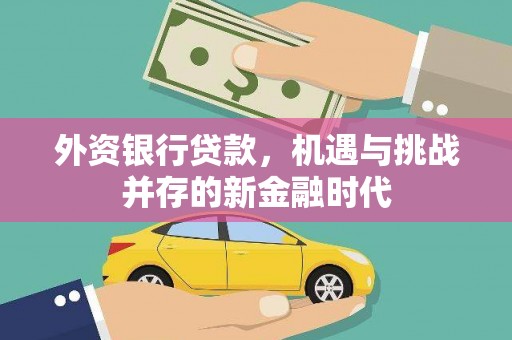 麦寮外资银行贷款，机遇与挑战并存的新金融时代