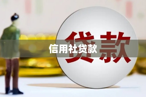 麦寮信用社贷款