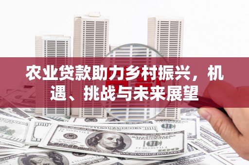 麦寮农业贷款助力乡村振兴，机遇、挑战与未来展望