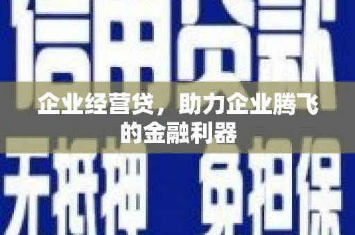 麦寮企业经营贷，助力企业腾飞的金融利器