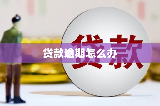 麦寮贷款逾期怎么办