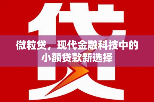 麦寮微粒贷，现代金融科技中的小额贷款新选择