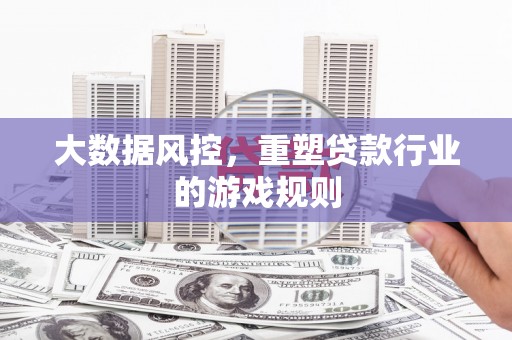 麦寮大数据风控，重塑贷款行业的游戏规则