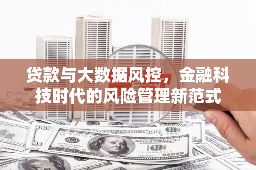 麦寮贷款与大数据风控，金融科技时代的风险管理新范式
