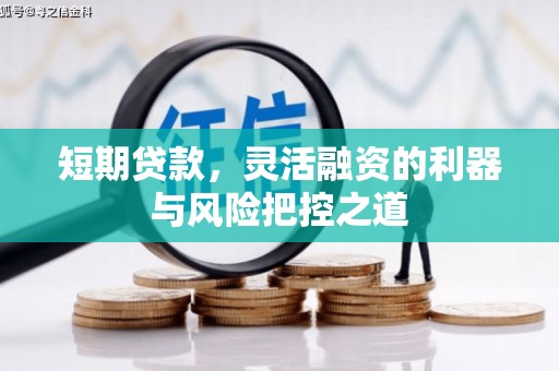 麦寮短期贷款，灵活融资的利器与风险把控之道