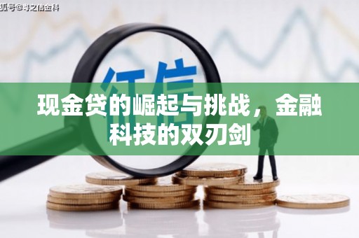 麦寮现金贷的崛起与挑战，金融科技的双刃剑