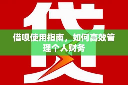 麦寮借呗使用指南，如何高效管理个人财务