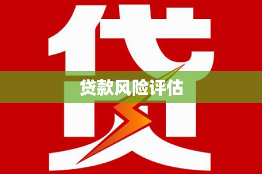 麦寮贷款风险评估