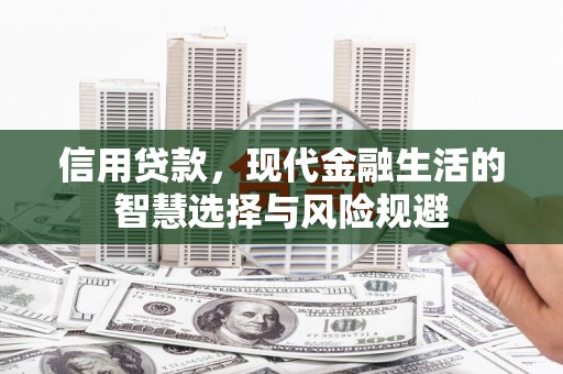 麦寮信用贷款，现代金融生活的智慧选择与风险规避