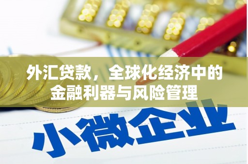 麦寮外汇贷款，全球化经济中的金融利器与风险管理
