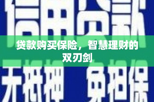麦寮贷款购买保险，智慧理财的双刃剑