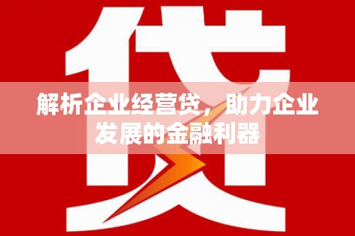 麦寮解析企业经营贷，助力企业发展的金融利器