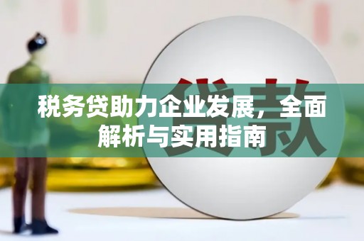 麦寮税务贷助力企业发展，全面解析与实用指南