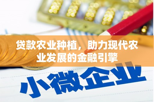 麦寮贷款农业种植，助力现代农业发展的金融引擎