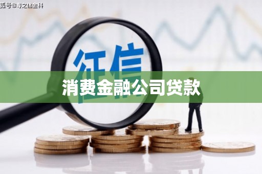 麦寮消费金融公司贷款