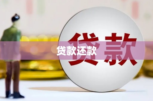 麦寮贷款还款