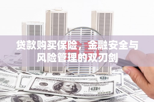 麦寮贷款购买保险，金融安全与风险管理的双刃剑