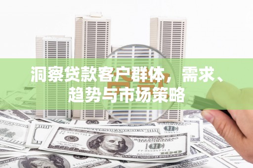 麦寮洞察贷款客户群体，需求、趋势与市场策略