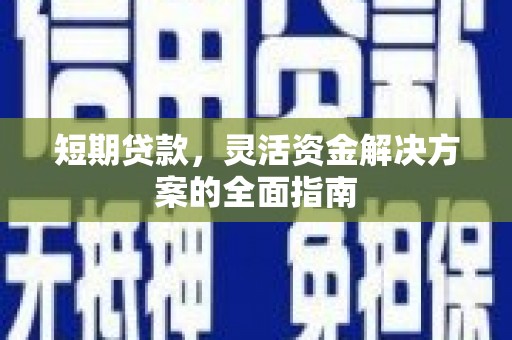 麦寮短期贷款，灵活资金解决方案的全面指南