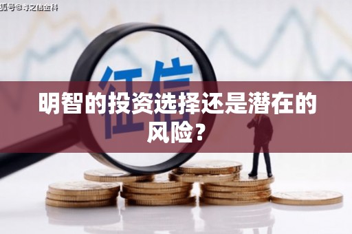 麦寮明智的投资选择还是潜在的风险？
