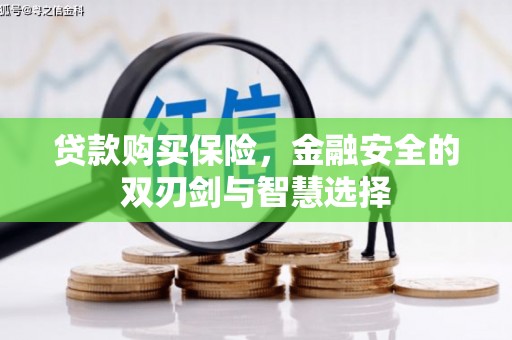 麦寮贷款购买保险，金融安全的双刃剑与智慧选择