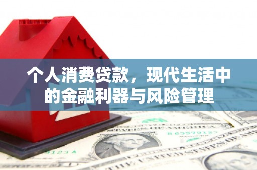 麦寮个人消费贷款，现代生活中的金融利器与风险管理