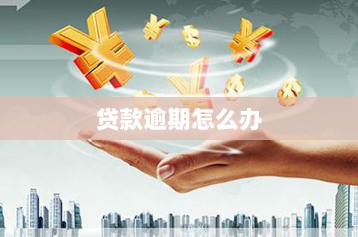 麦寮贷款逾期怎么办