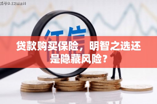 麦寮贷款购买保险，明智之选还是隐藏风险？