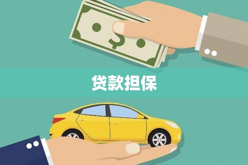 麦寮贷款担保