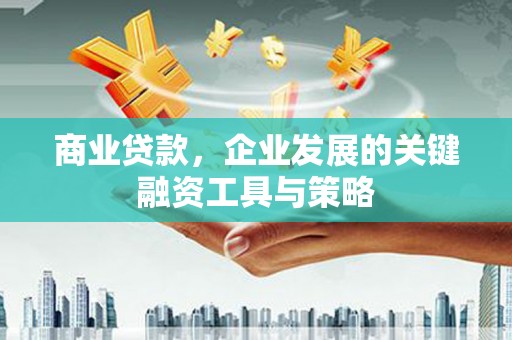 麦寮商业贷款，企业发展的关键融资工具与策略