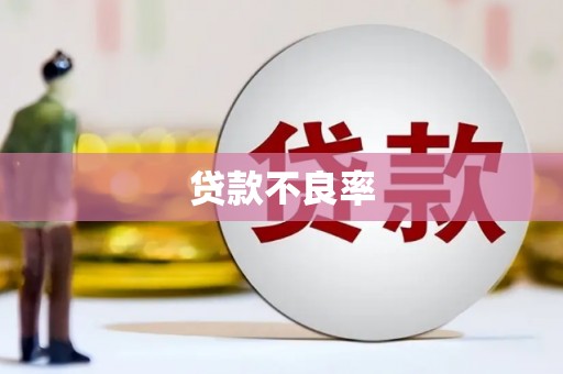 麦寮贷款不良率