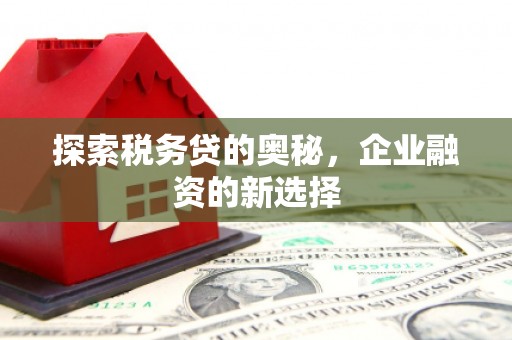麦寮探索税务贷的奥秘，企业融资的新选择