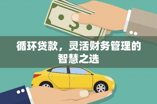 麦寮循环贷款，灵活财务管理的智慧之选