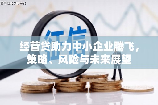 麦寮经营贷助力中小企业腾飞，策略、风险与未来展望
