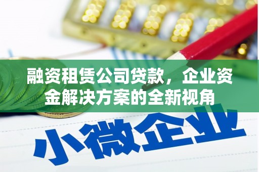 麦寮融资租赁公司贷款，企业资金解决方案的全新视角