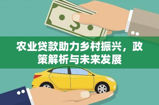 麦寮农业贷款助力乡村振兴，政策解析与未来发展