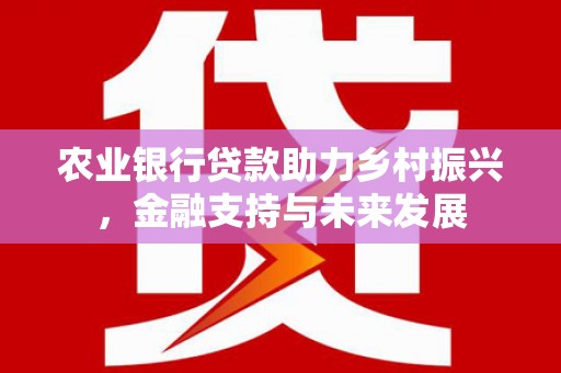麦寮农业银行贷款助力乡村振兴，金融支持与未来发展