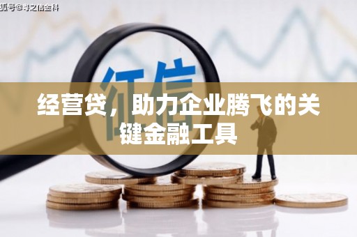 麦寮经营贷，助力企业腾飞的关键金融工具