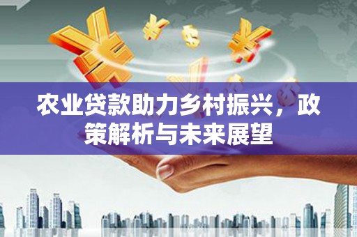 麦寮农业贷款助力乡村振兴，政策解析与未来展望