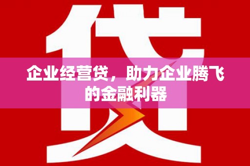 麦寮企业经营贷，助力企业腾飞的金融利器