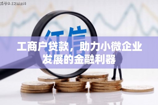 麦寮工商户贷款，助力小微企业发展的金融利器