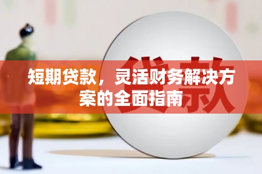 麦寮短期贷款，灵活财务解决方案的全面指南