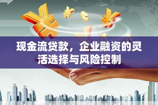 麦寮现金流贷款，企业融资的灵活选择与风险控制