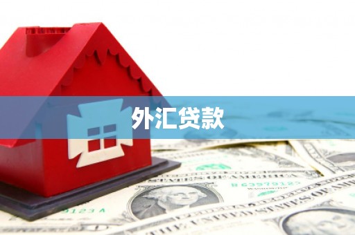 麦寮外汇贷款